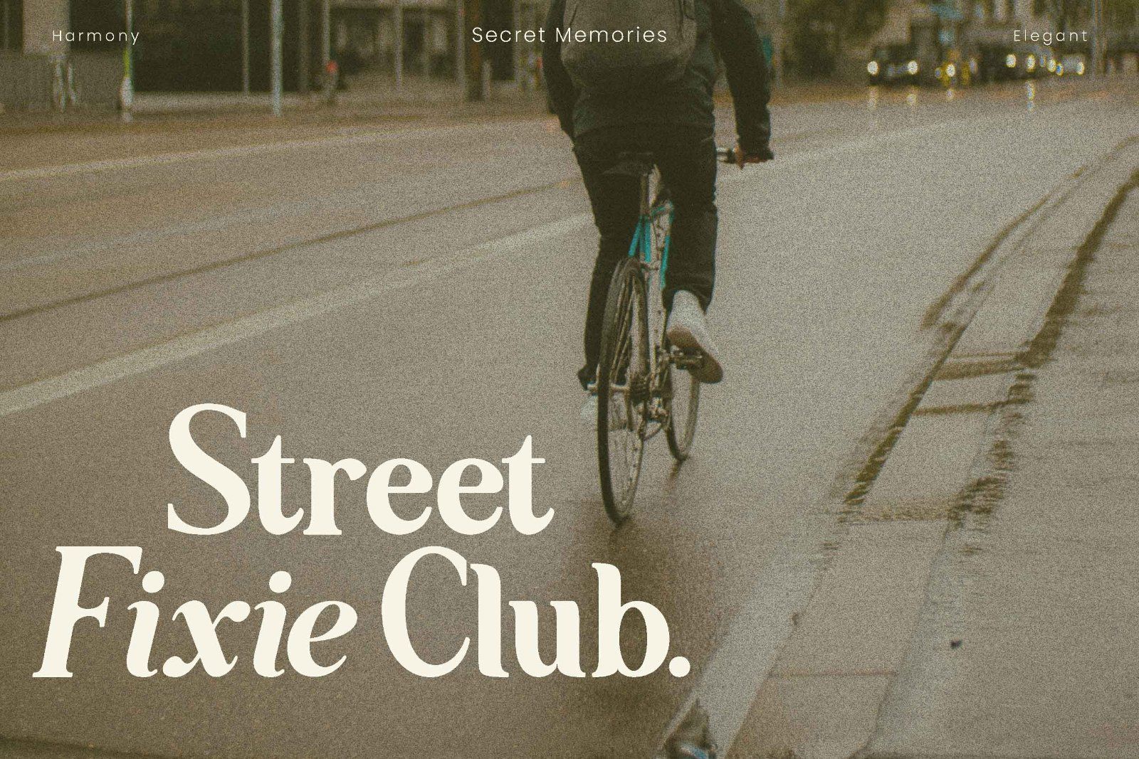 Secret Memories - Beautiful Serif Font — image 3