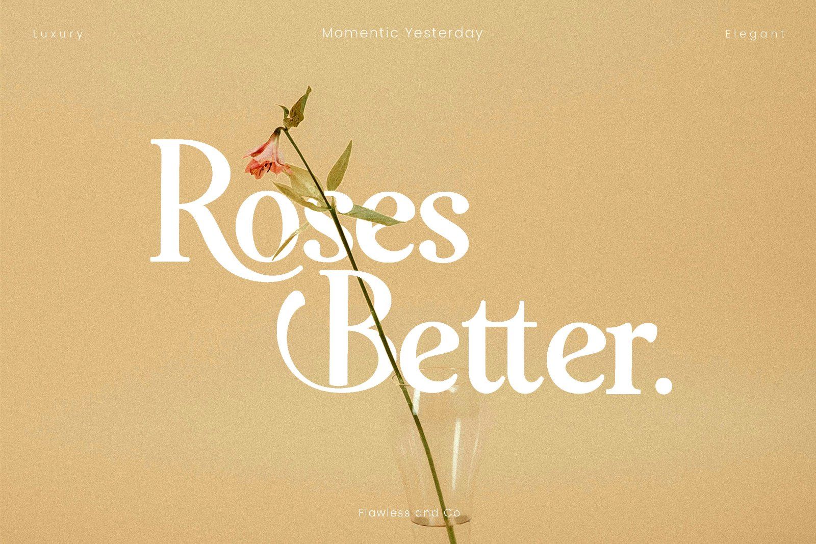 Momentic Yesterday - Beautiful Serif Font — image 5