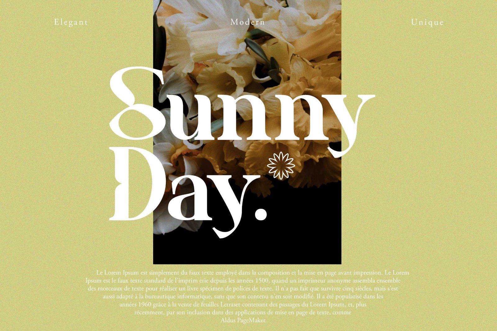 Benogi - Modern Serif Font — image 3