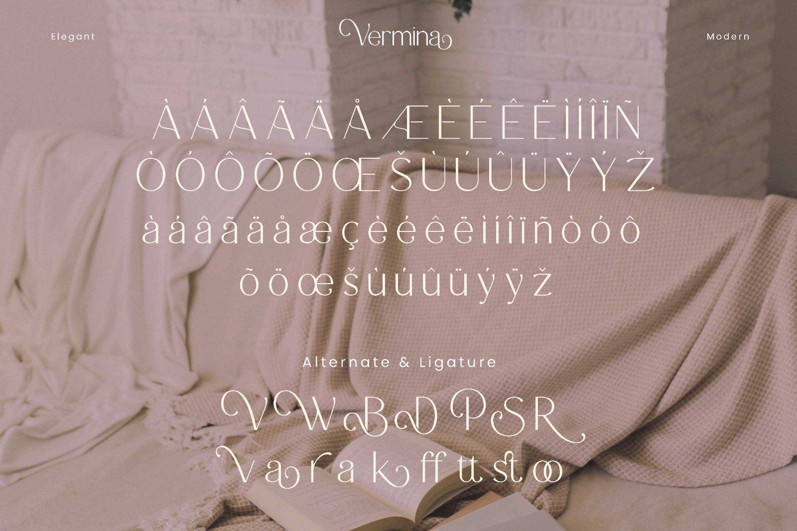 Vermina - Elegant Sans Serif Font — image 10