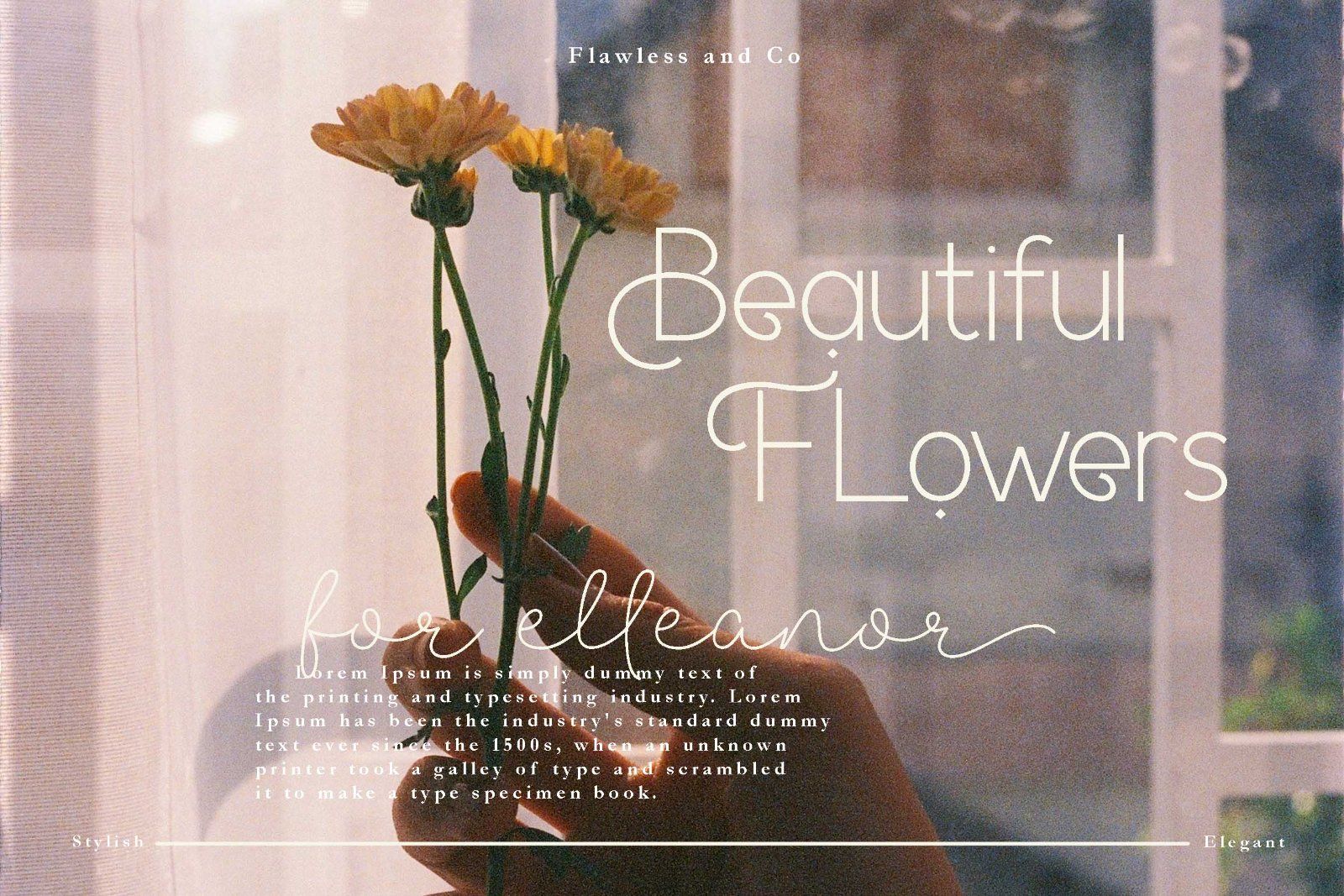 Akega - Sans Script Duo Font — image 3
