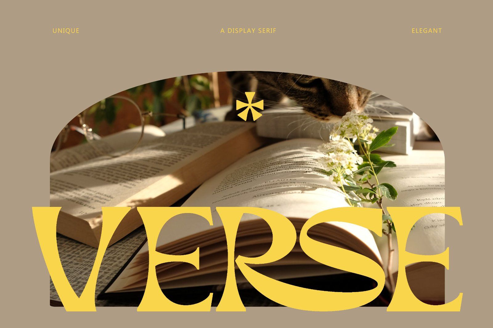 Broca - Unique Dsiplay Serif Font — image 3