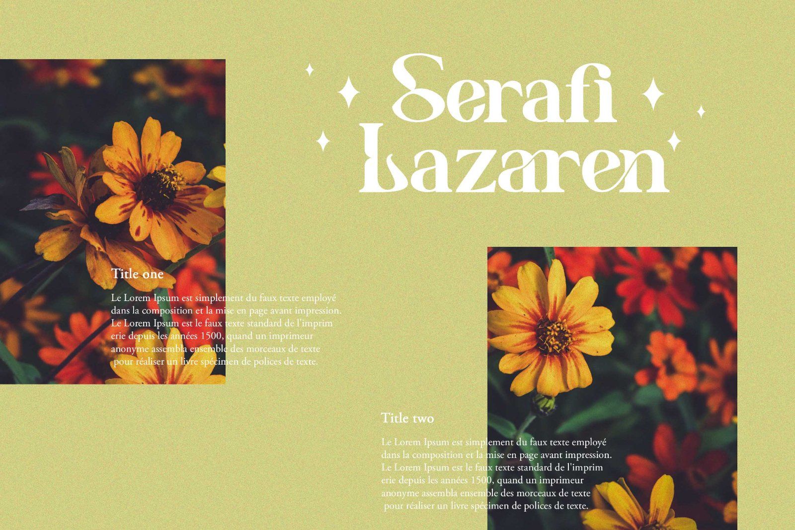 Benogi - Modern Serif Font — image 4