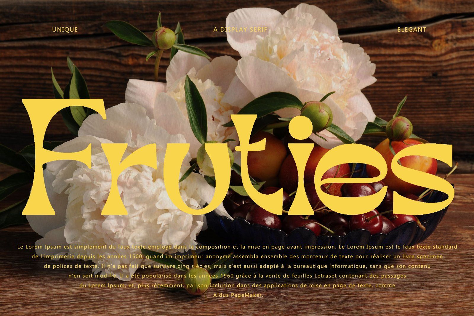 Broca - Unique Dsiplay Serif Font — image 4