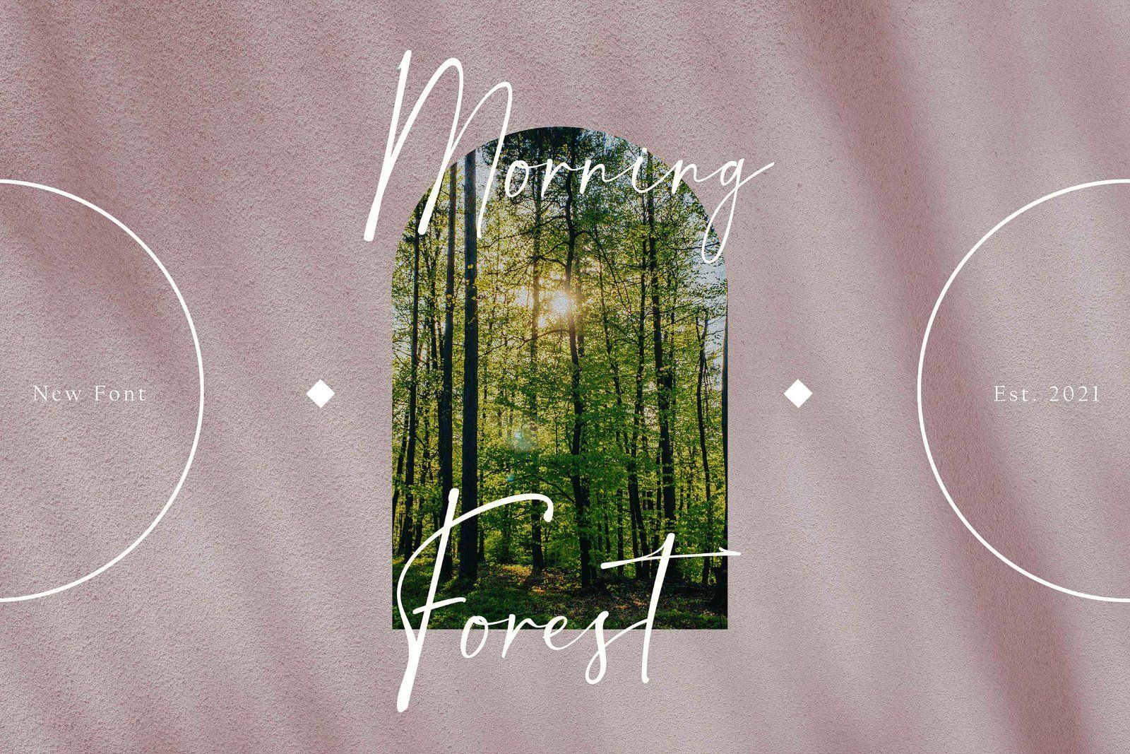 Brasta - Elegant Handwritten Font — image 3