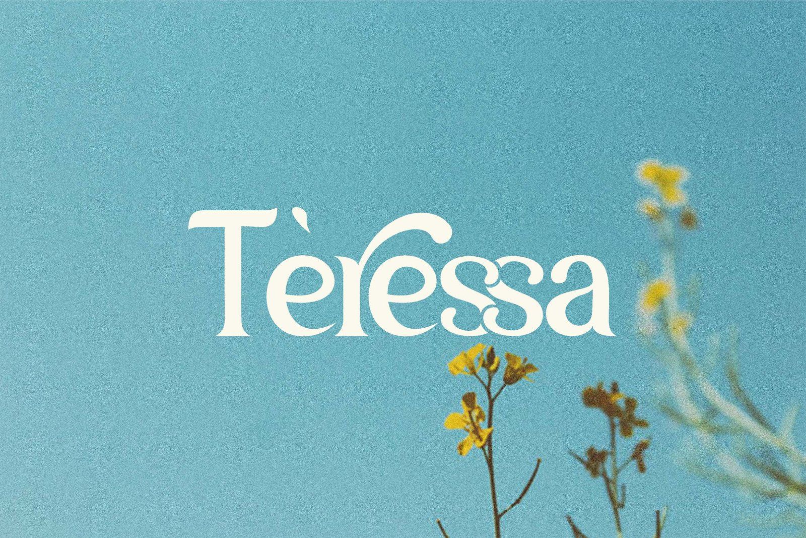 Yunan - Display Serif Font — image 6