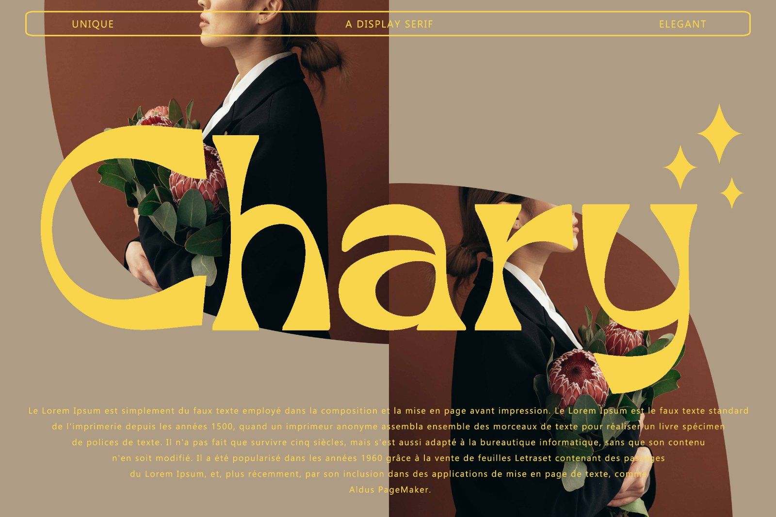 Broca - Unique Dsiplay Serif Font — image 6