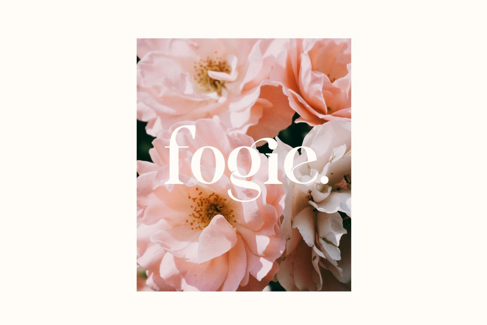 Forseti - Modern Serif Font — image 7
