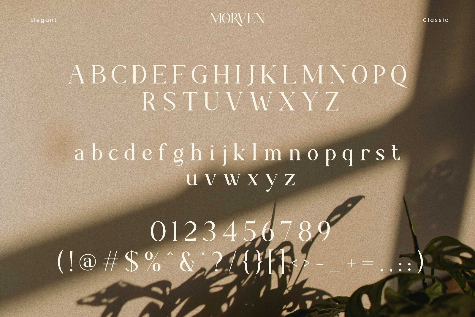 Morven - Modern Serif Font — image 9