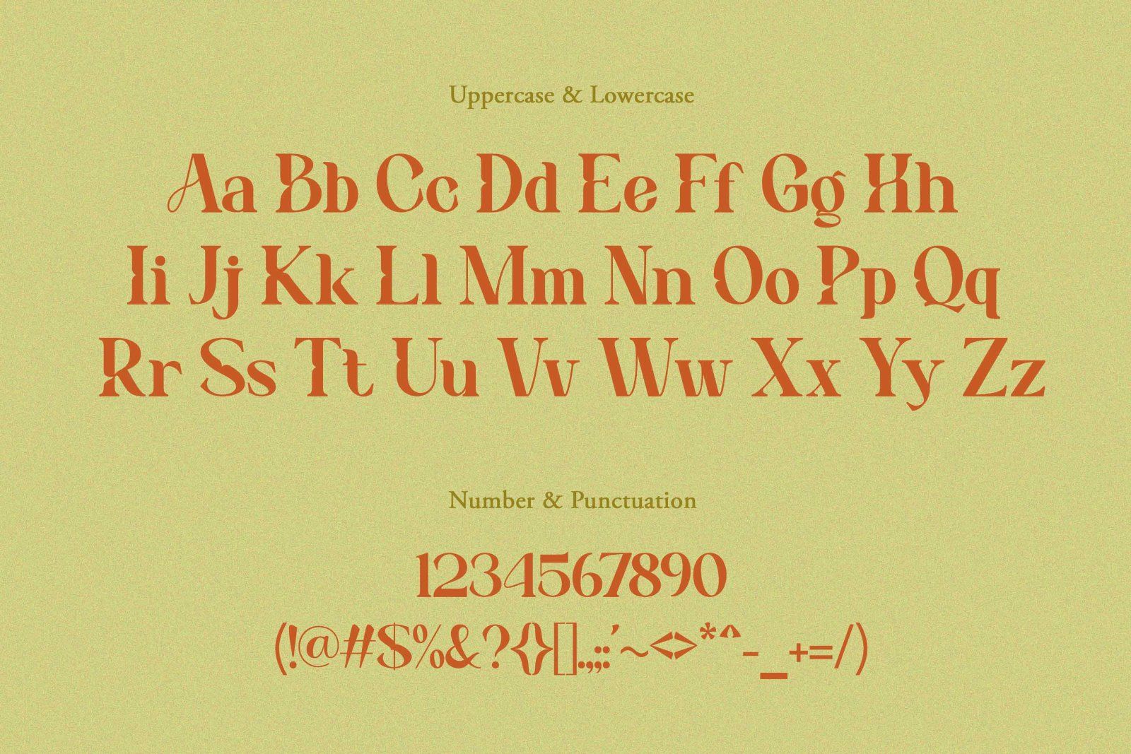 Benogi - Modern Serif Font — image 9