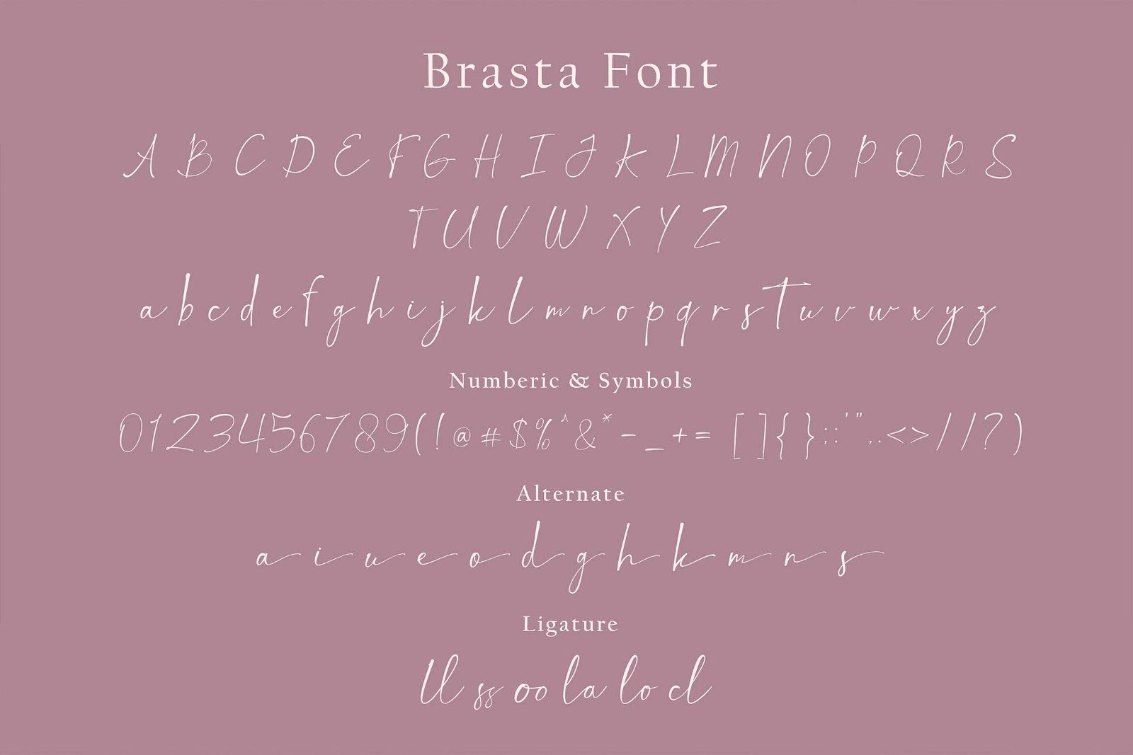 Brasta - Elegant Handwritten Font — image 9