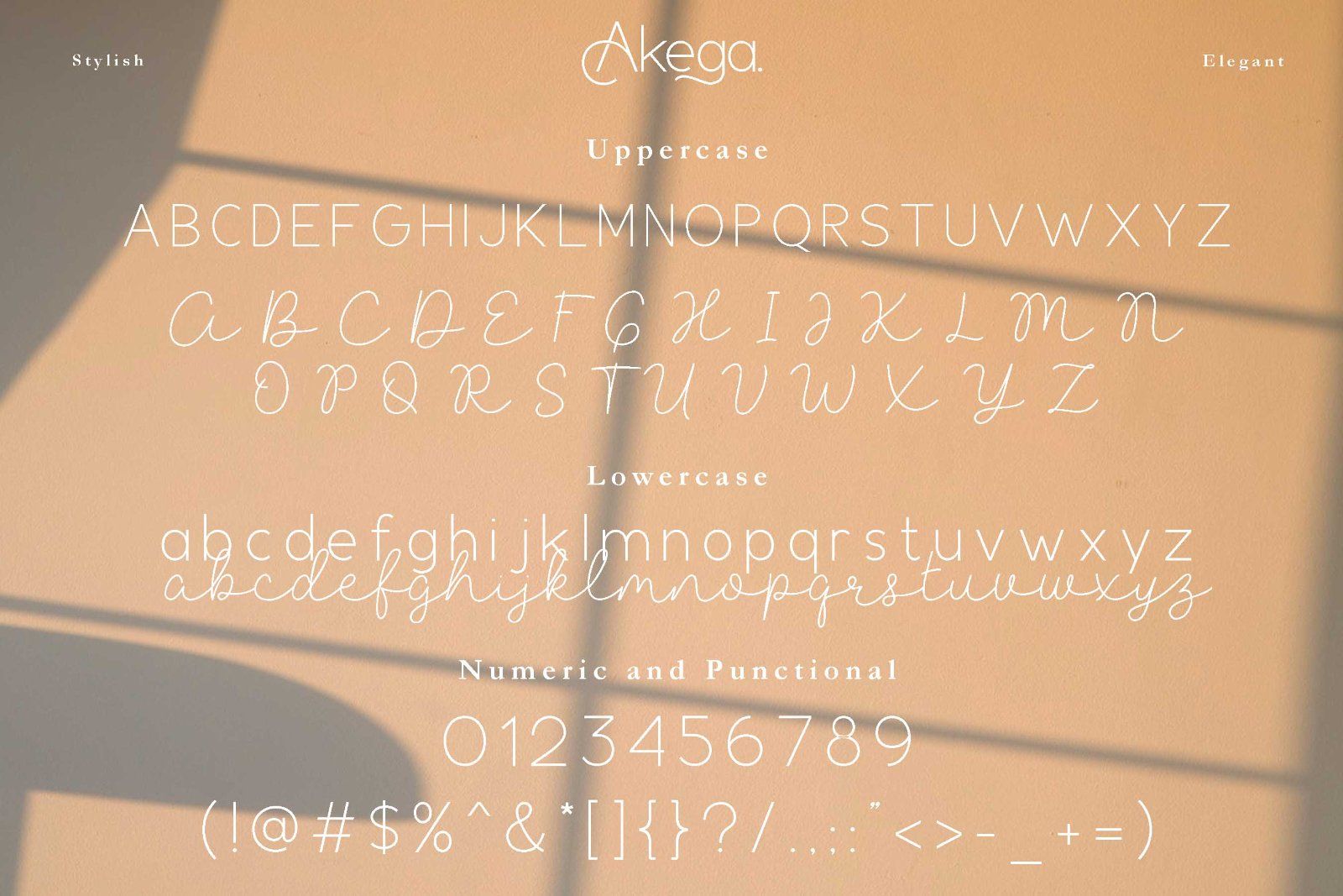 Akega - Sans Script Duo Font — image 8