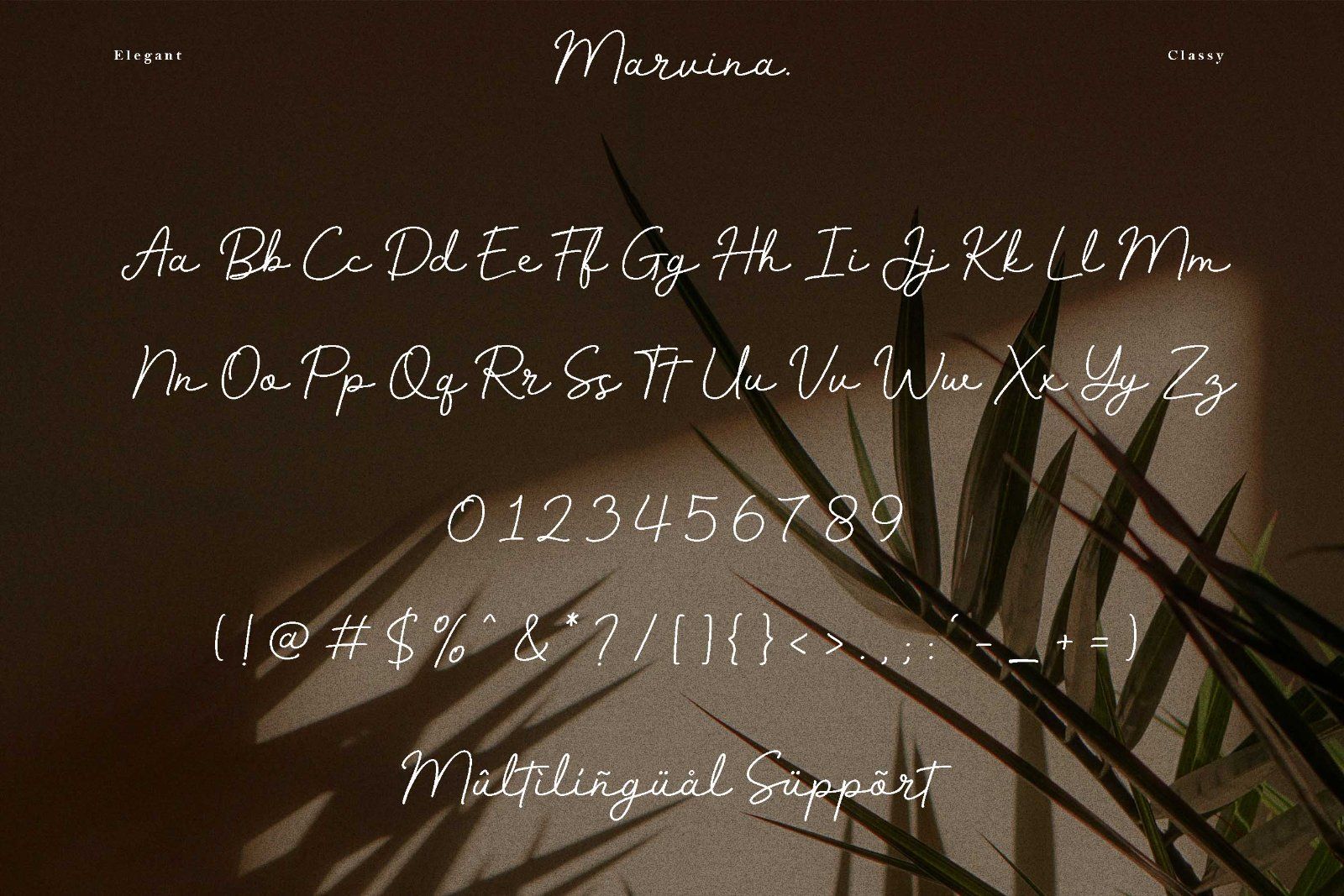 Marvina - Elegant Script Font — image 8