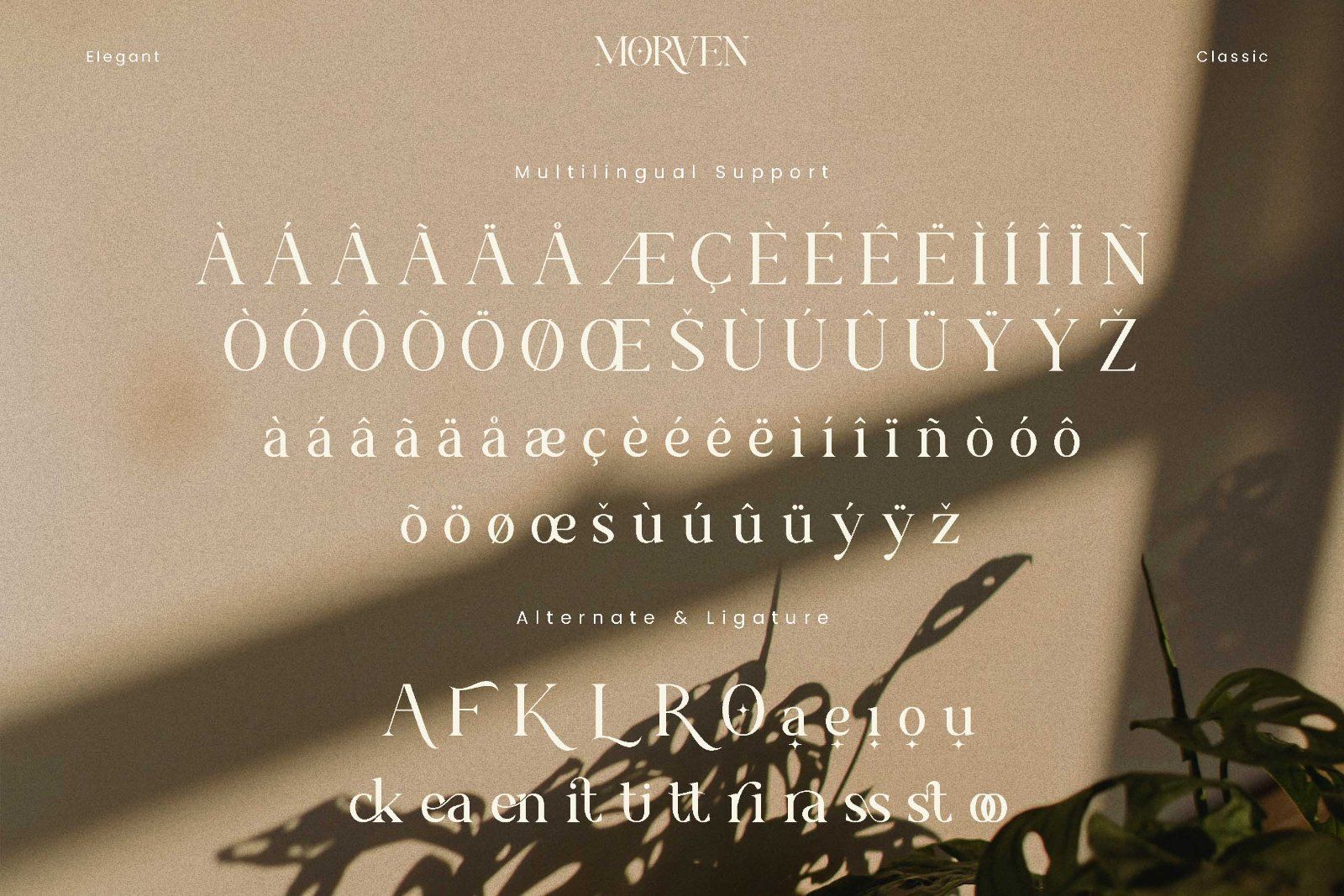 Morven - Modern Serif Font — image 10