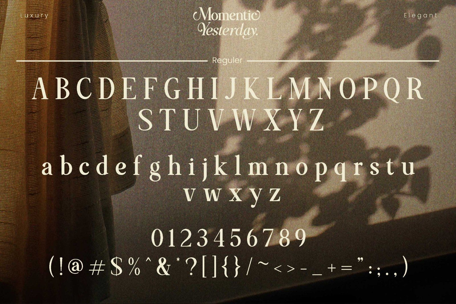Momentic Yesterday - Beautiful Serif Font — image 8