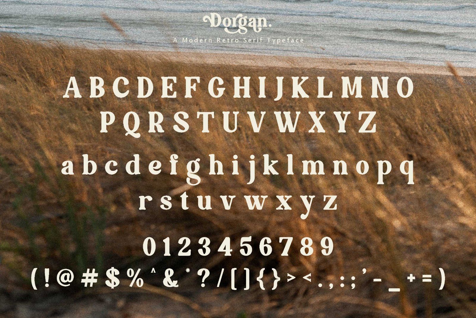 Dorgan - Modern Retro Serif Font — image 9