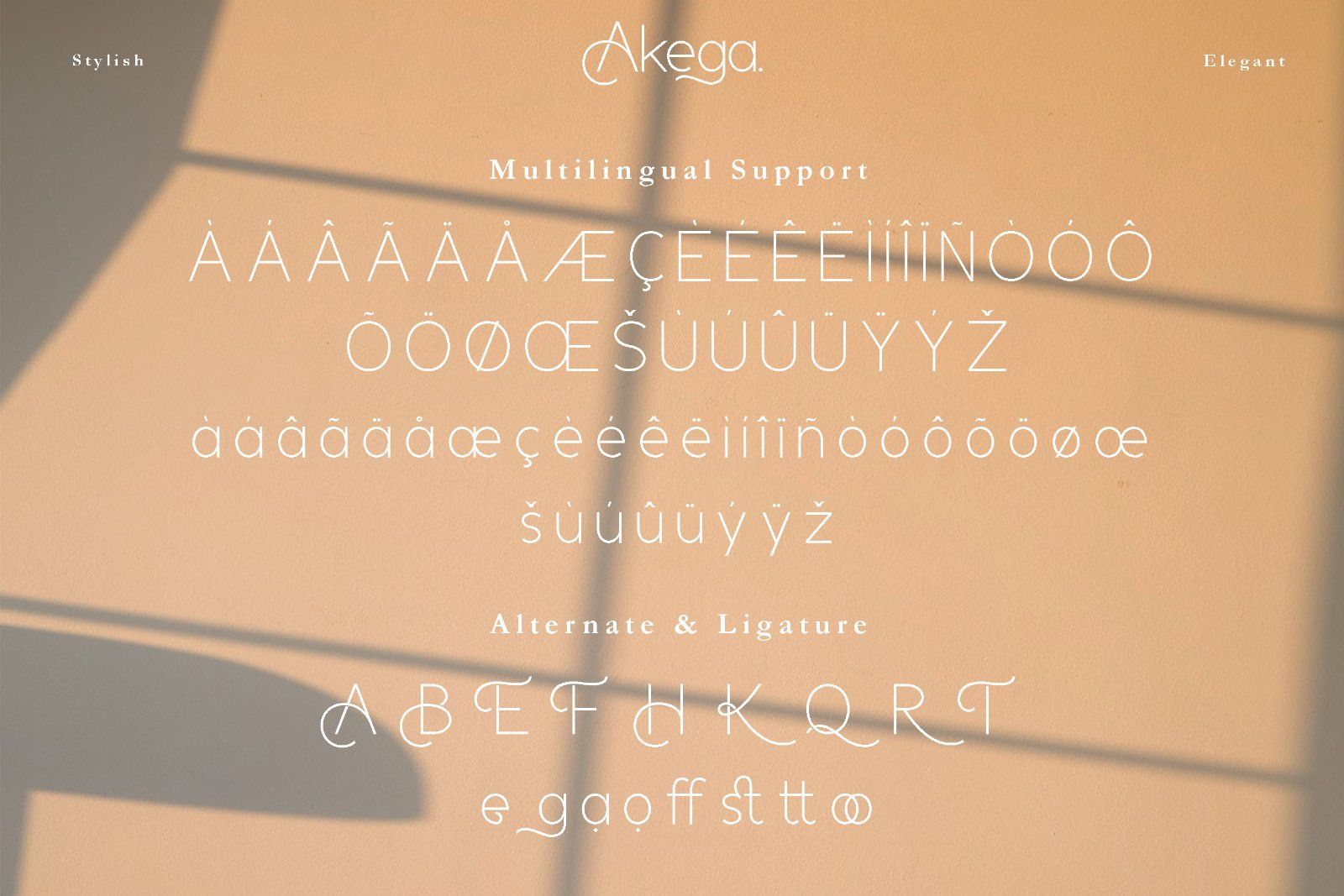 Akega - Sans Script Duo Font — image 10