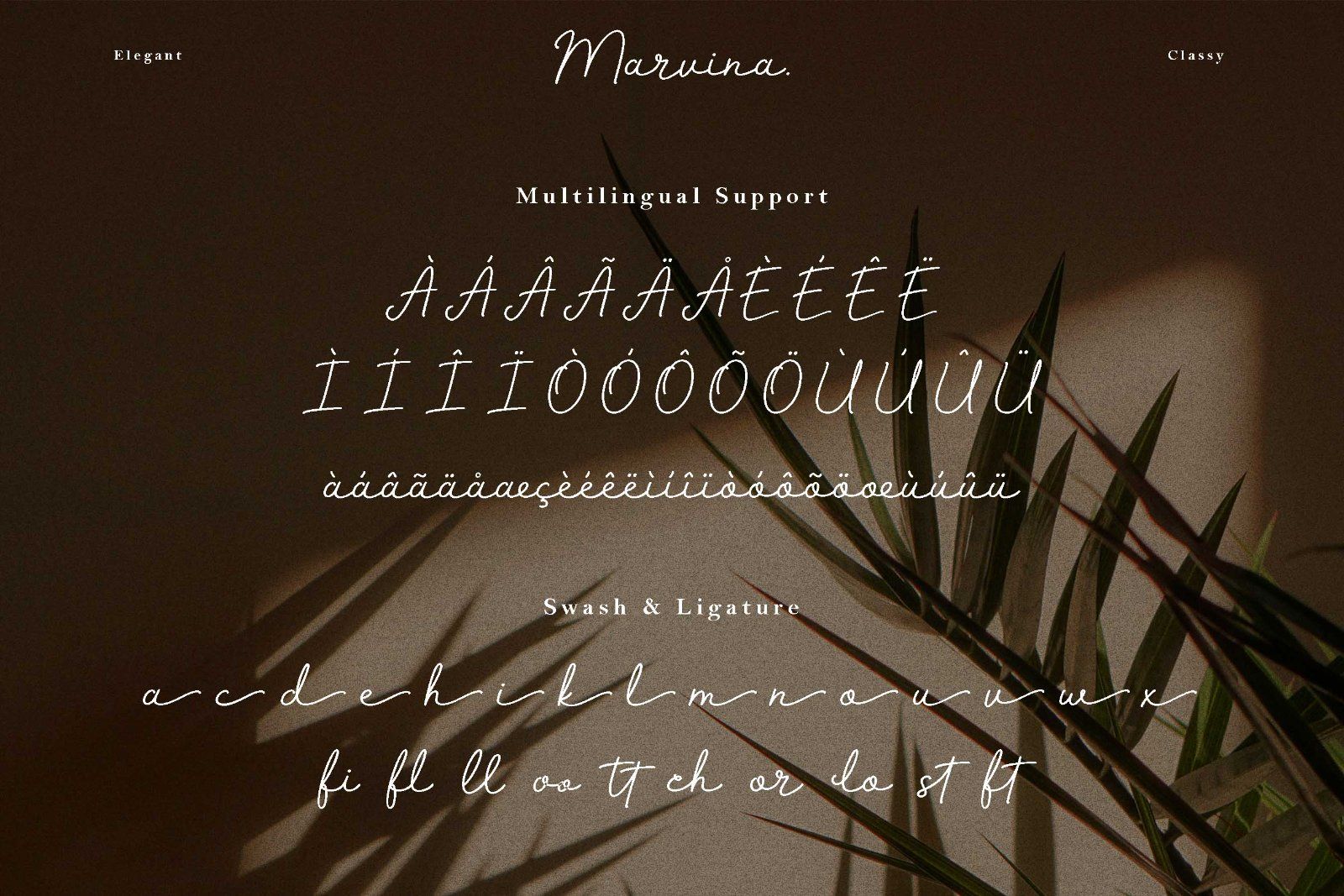 Marvina - Elegant Script Font — image 9