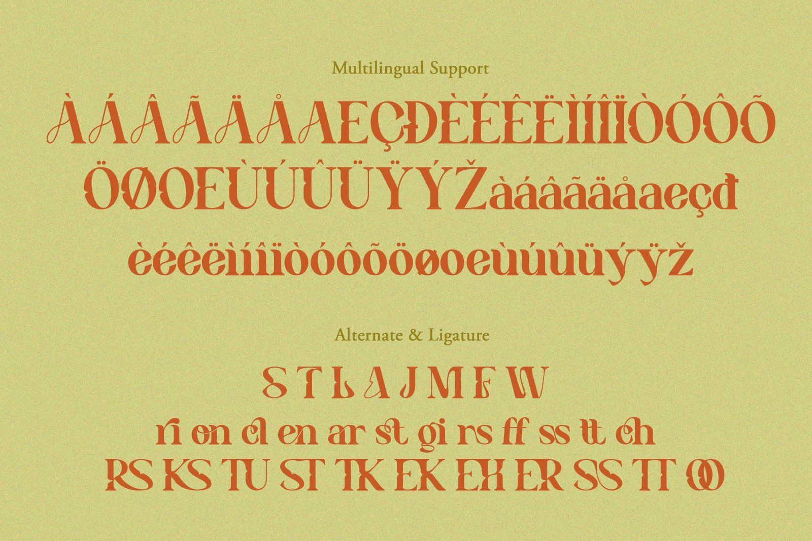 Benogi - Modern Serif Font — image 10