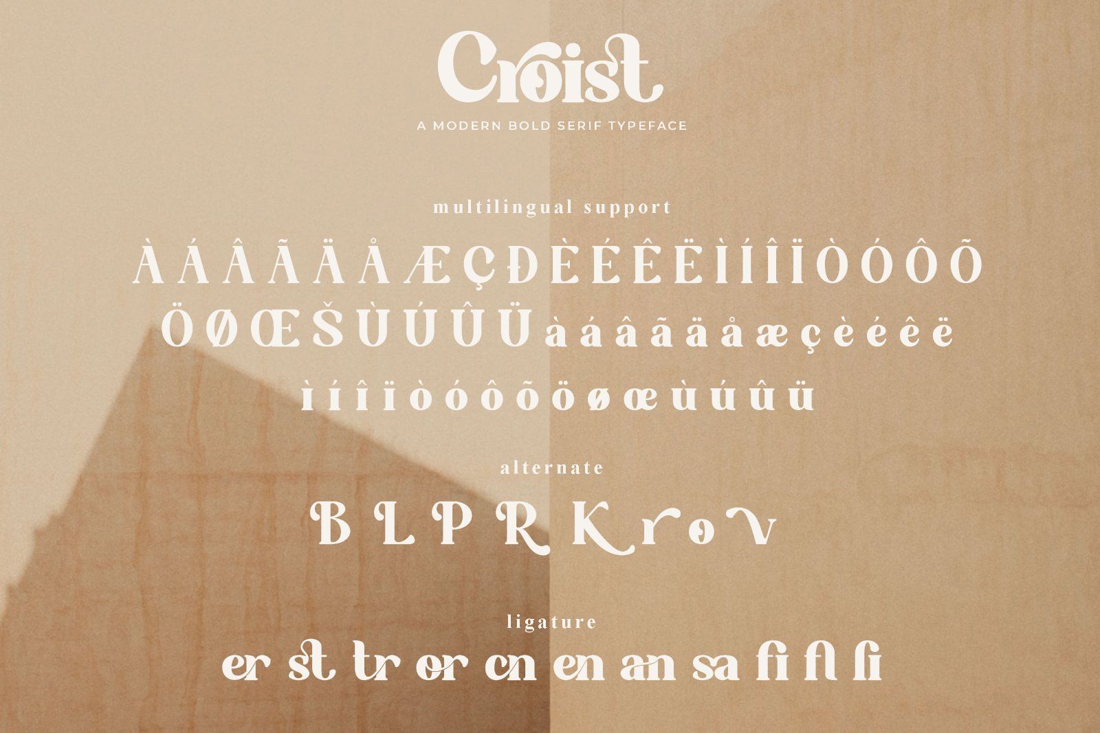 Croist - Bold Retro Serif Font — image 10