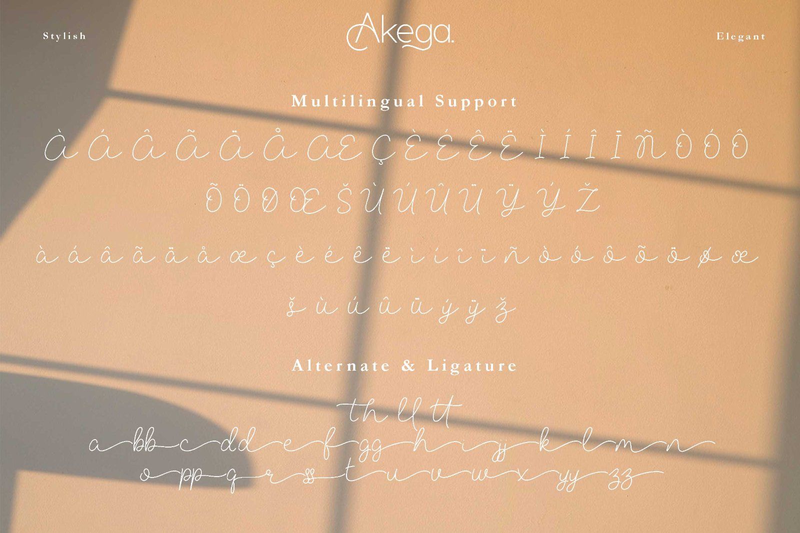 Akega - Sans Script Duo Font — image 9
