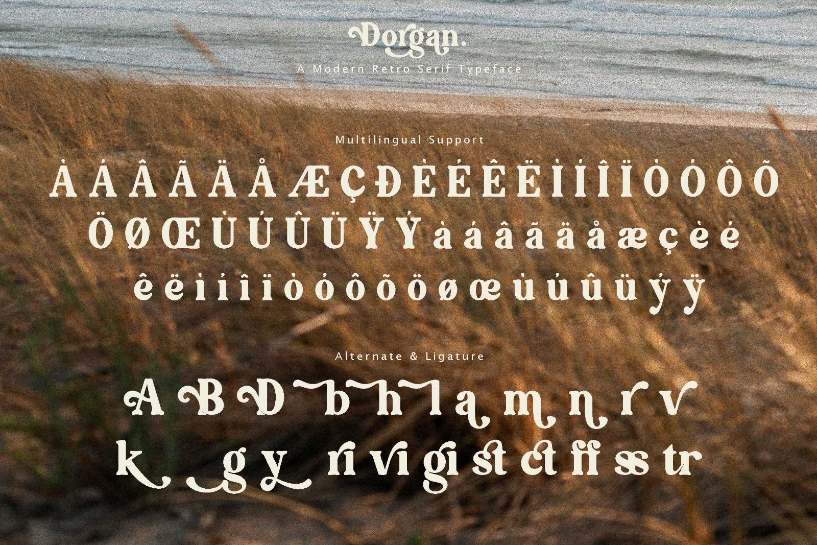 Dorgan - Modern Retro Serif Font — image 10