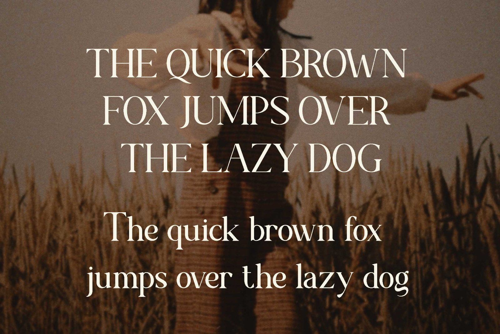 Morven - Modern Serif Font — image 7