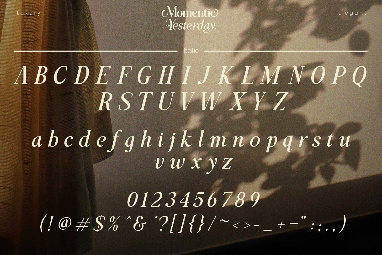 Momentic Yesterday - Beautiful Serif Font — image 9