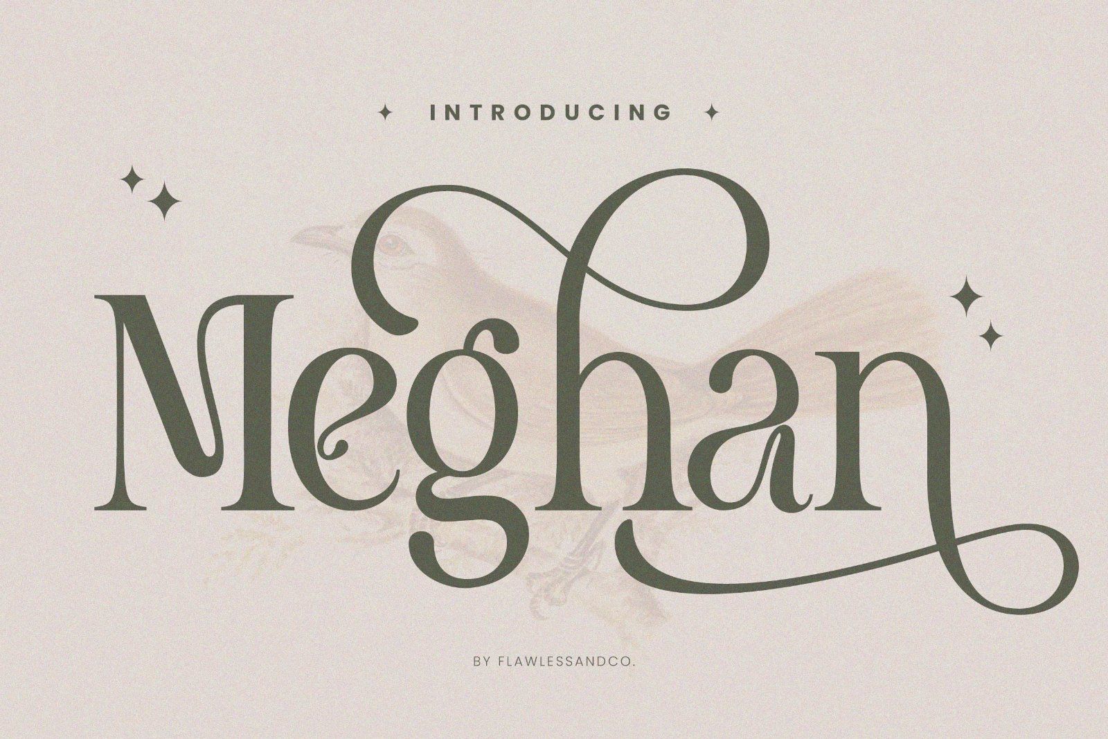 Meghan - Elegant Serif Font — image 1