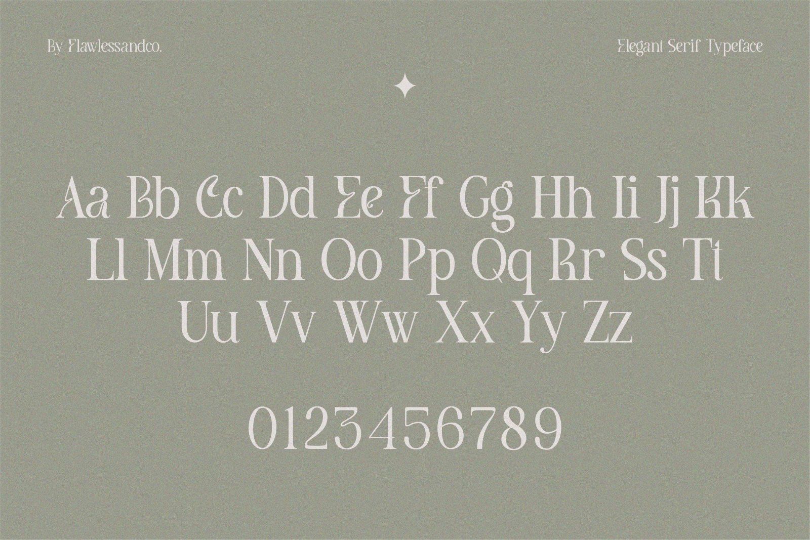 Meghan - Elegant Serif Font — image 10