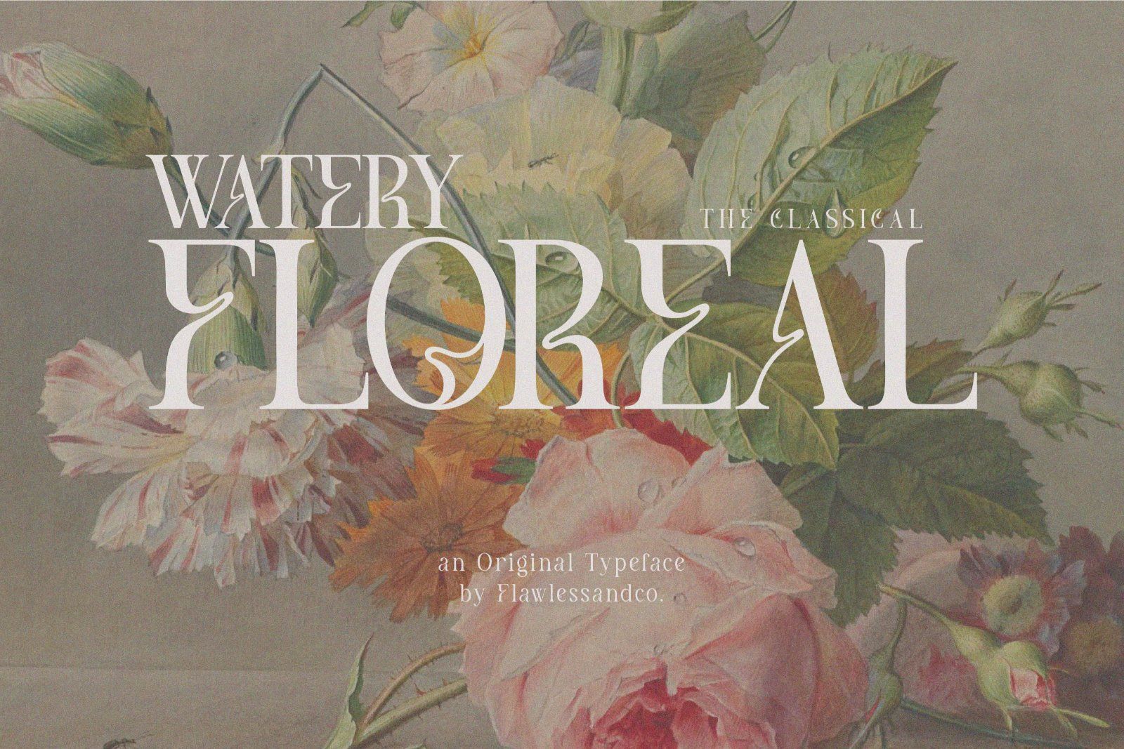 Meghan - Elegant Serif Font — image 3