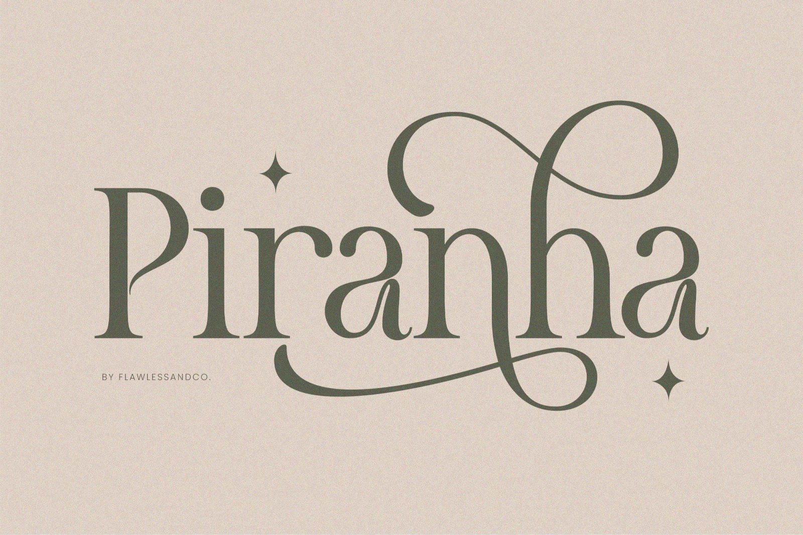 Meghan - Elegant Serif Font — image 6