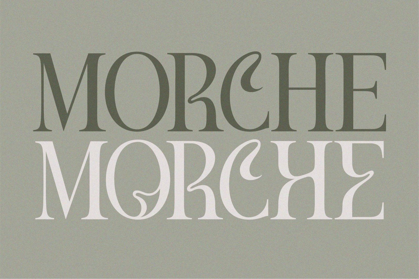 Meghan - Elegant Serif Font — image 7