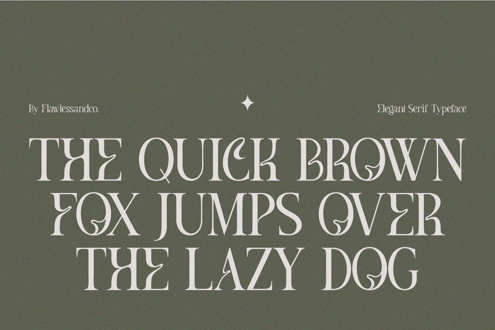 Meghan - Elegant Serif Font — image 8