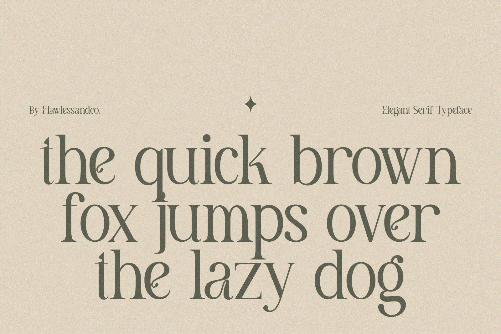 Meghan - Elegant Serif Font — image 9