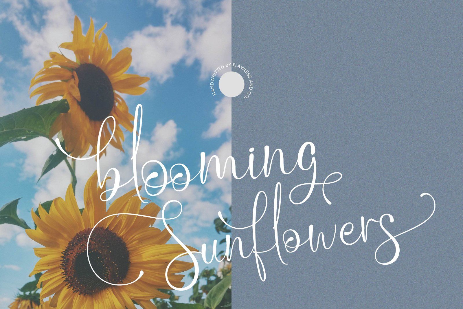 Saghea - Elegant Handwritten Font — image 2