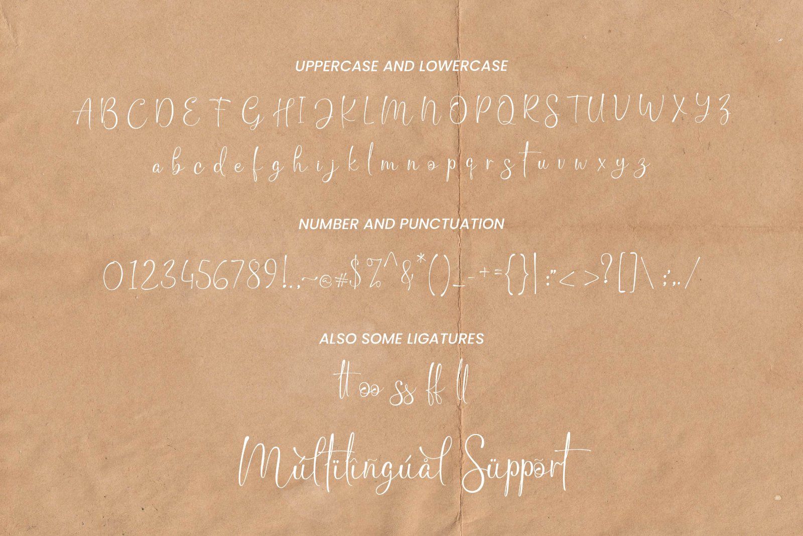 Saghea - Elegant Handwritten Font — image 9