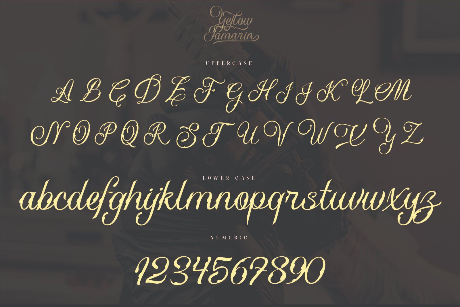 Yellow Tamarin - Modern Blackletter Font — image 10