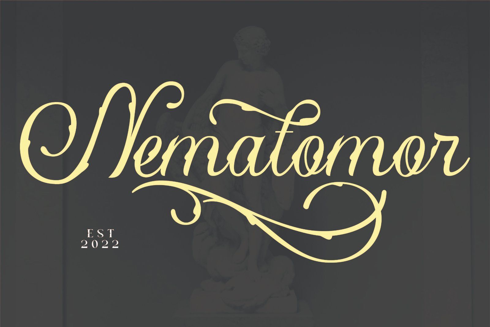Yellow Tamarin - Modern Blackletter Font — image 5