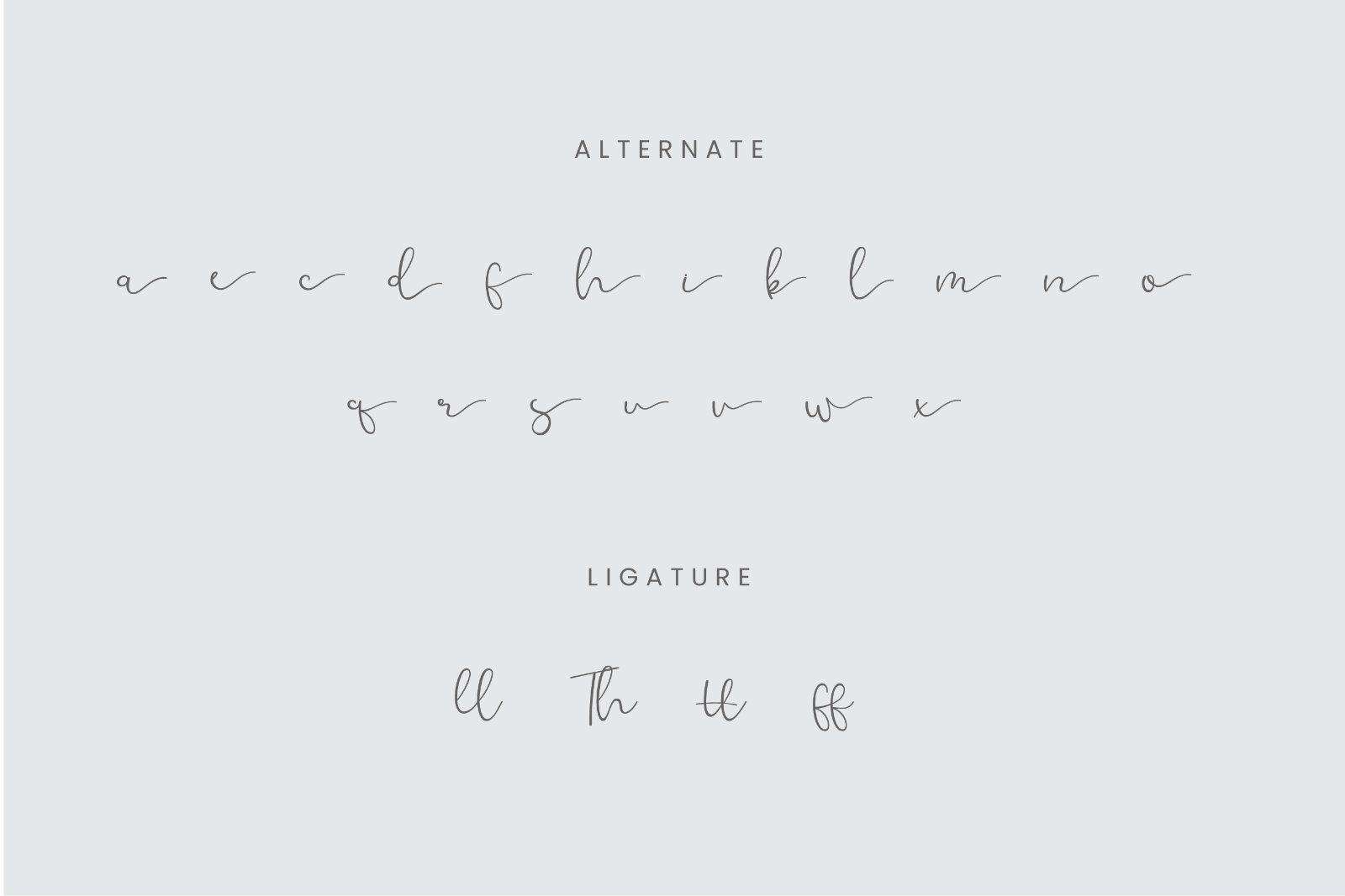 Challwa - Elegant Handwritten Font — image 10