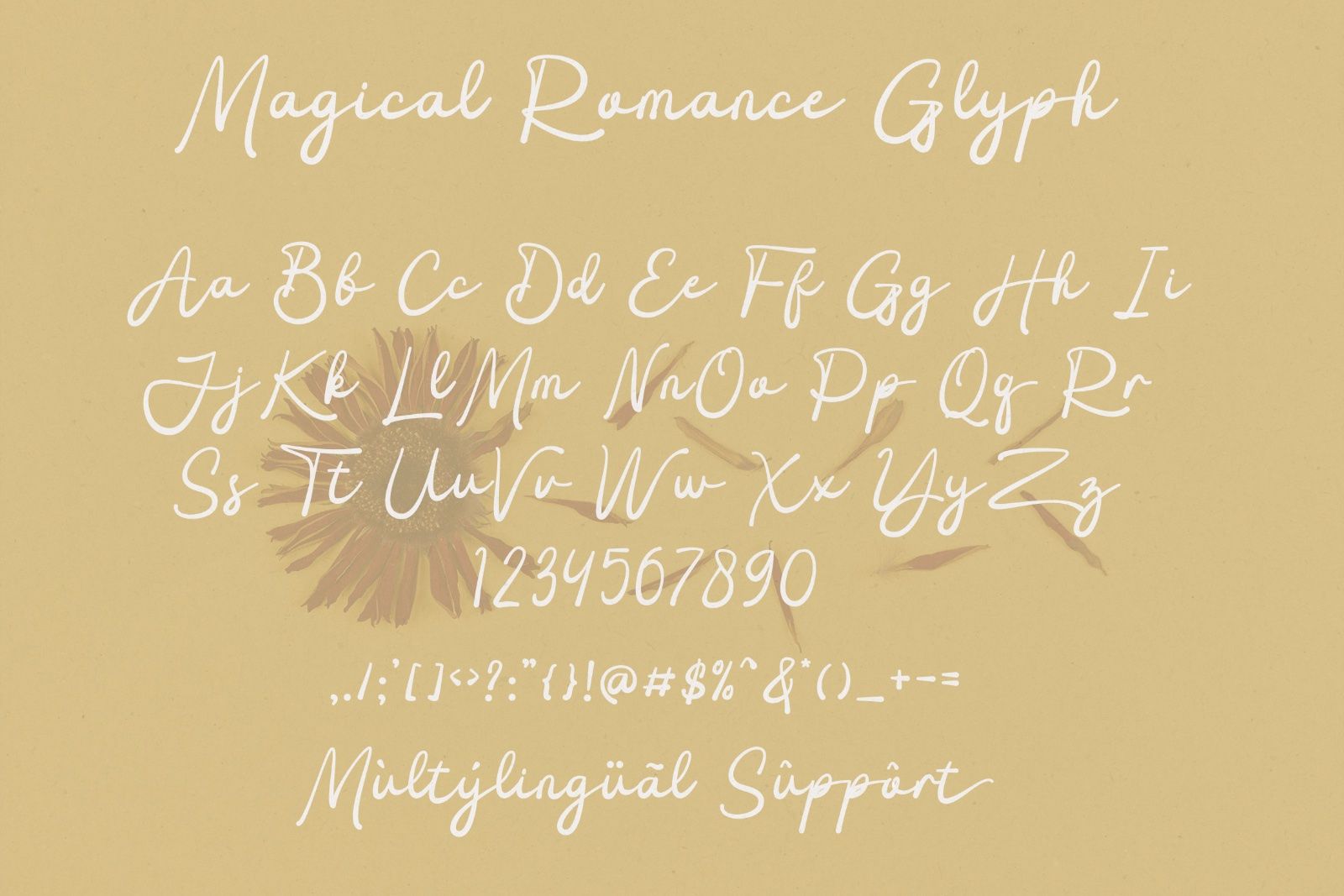 Magical Romance
