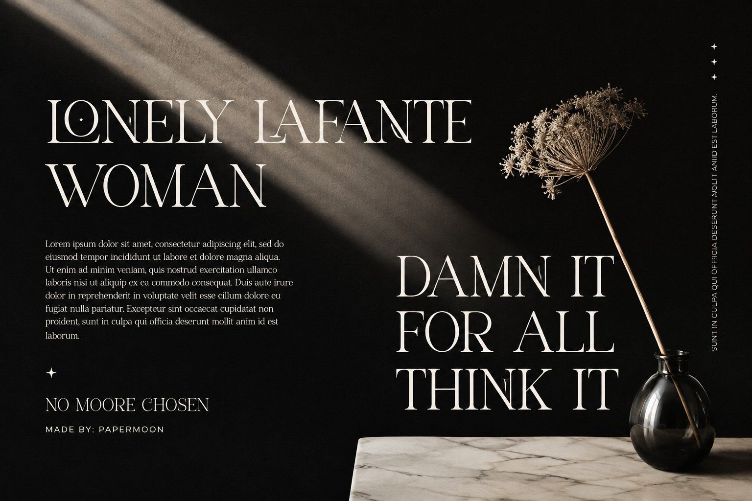 Moonletter | Elegant Luxury Serif Font — image 4