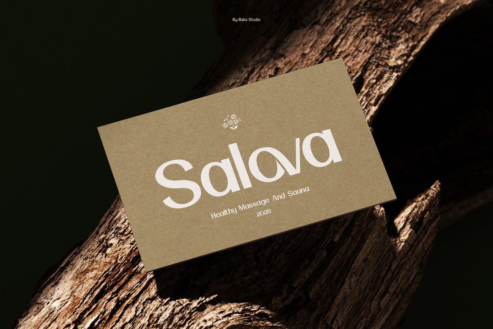 Relova | Elegant & Classy Sans Serif