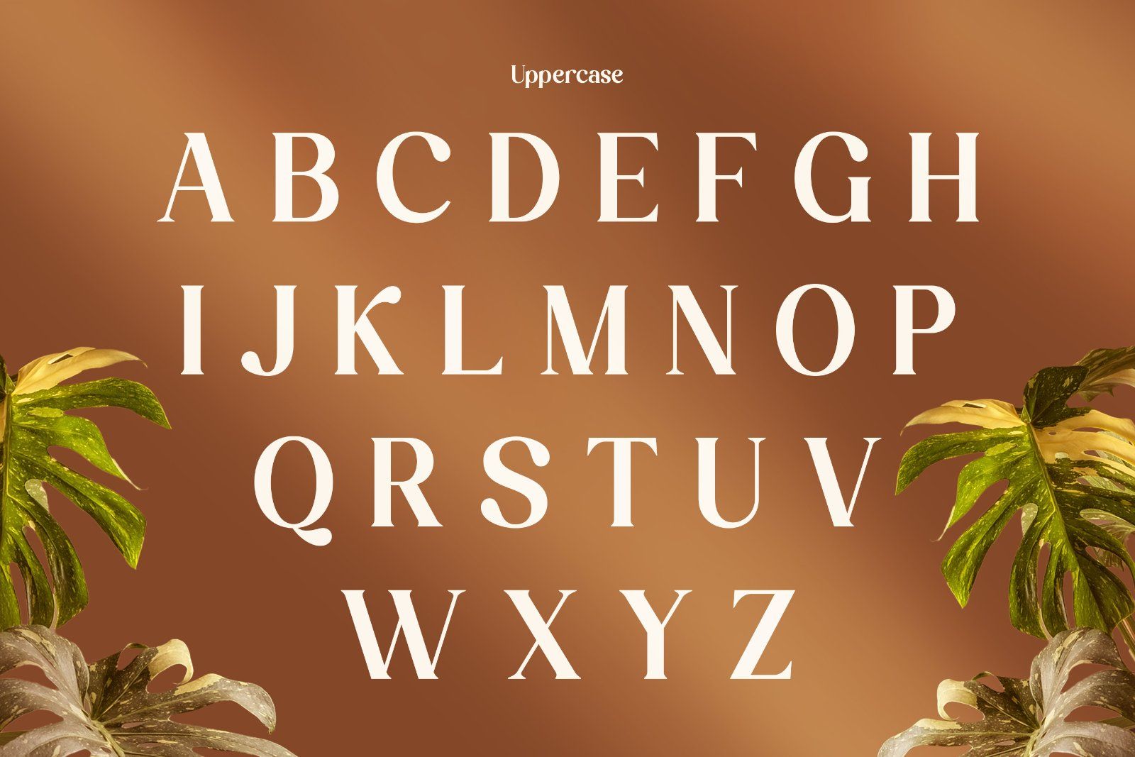 Davion - Retro Serif Font — image 6
