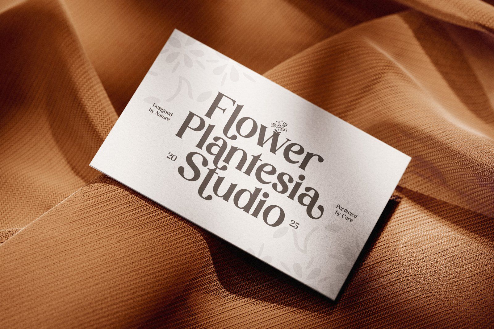 Davion - Retro Serif Font — image 3