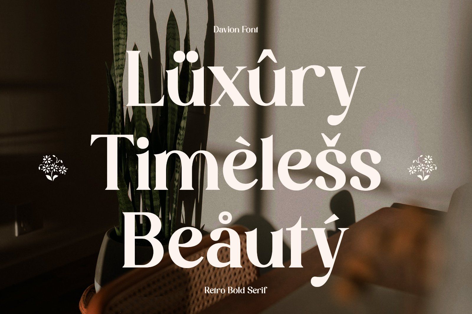 Davion - Retro Serif Font — image 10