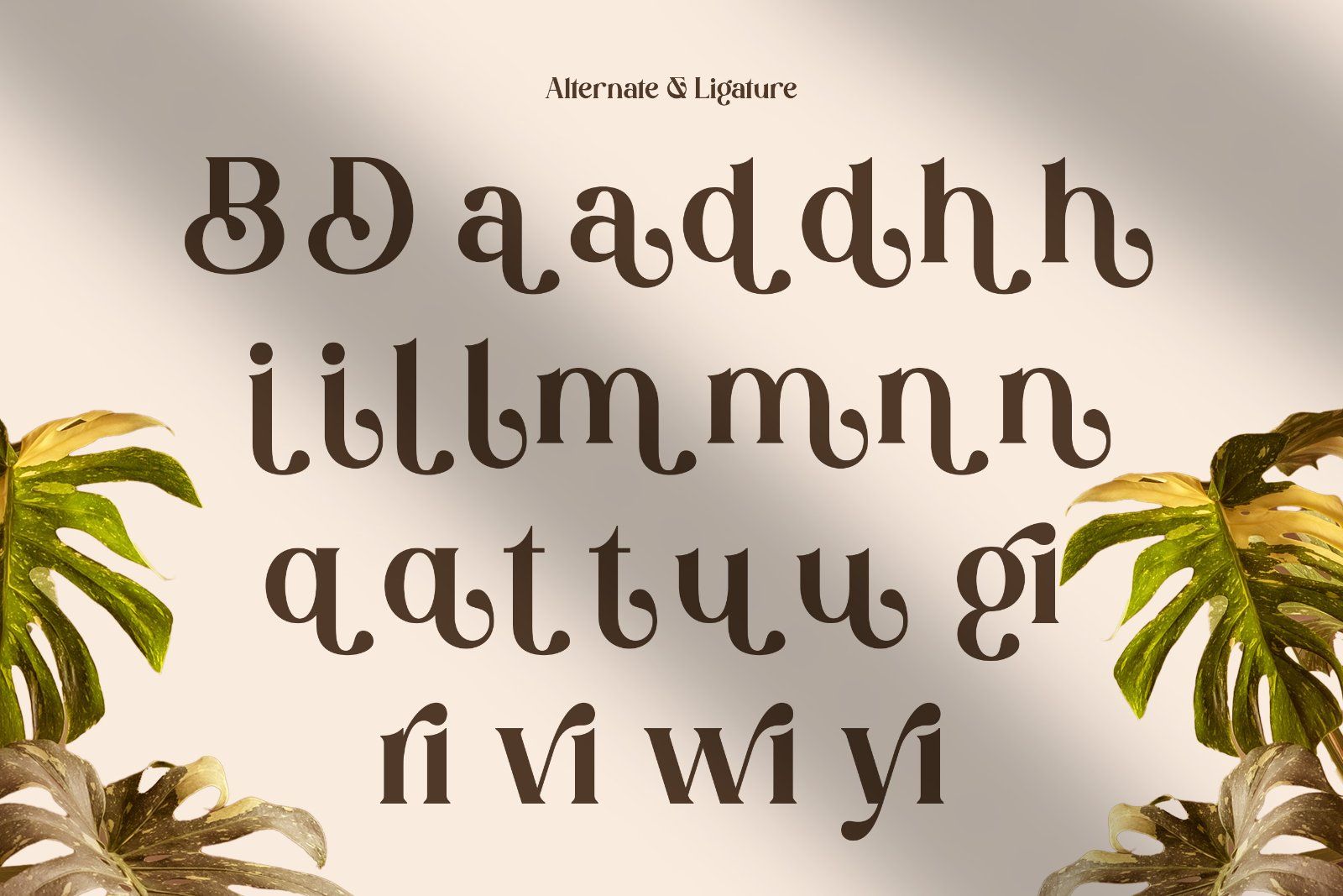 Davion - Retro Serif Font — image 9