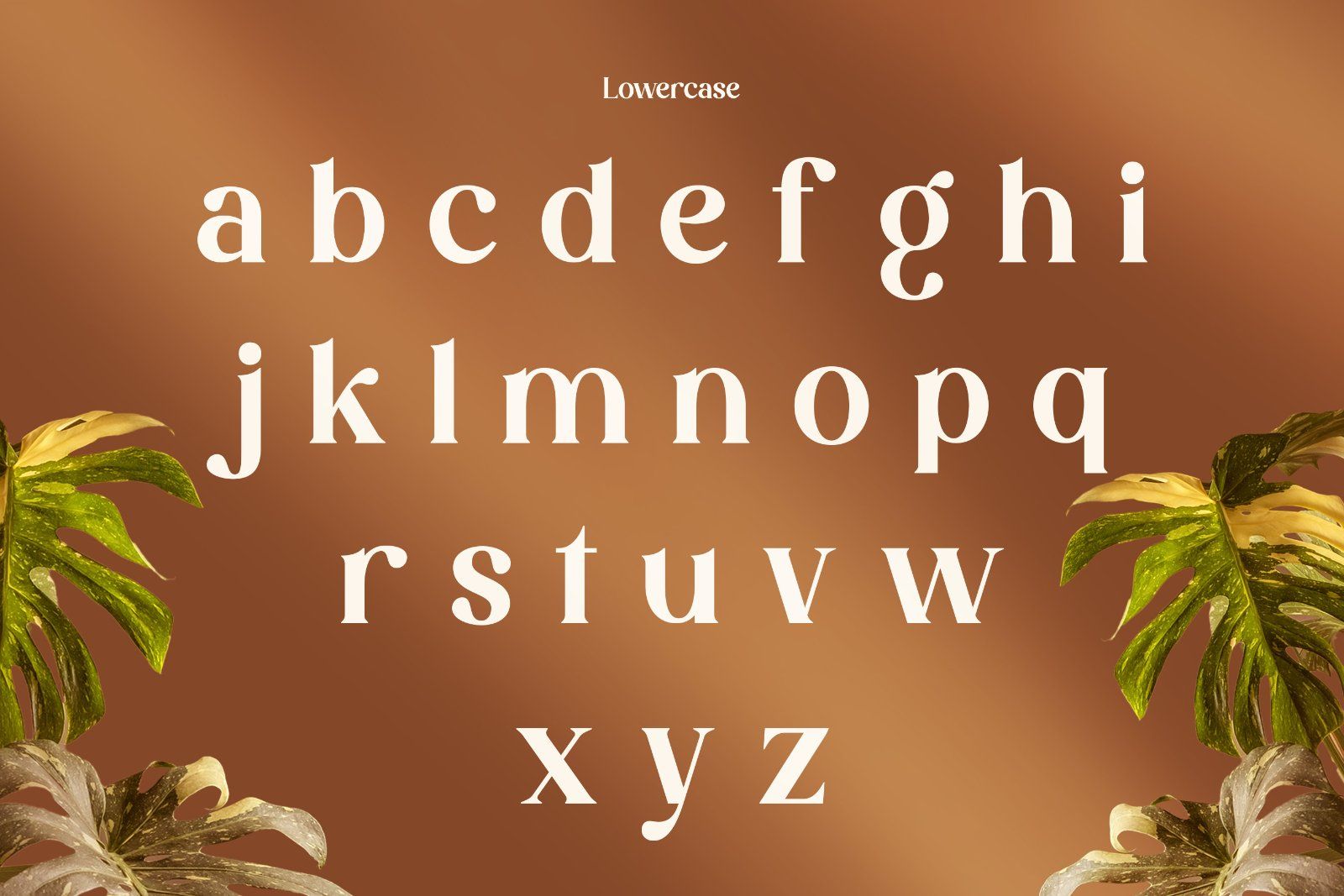Davion - Retro Serif Font — image 7