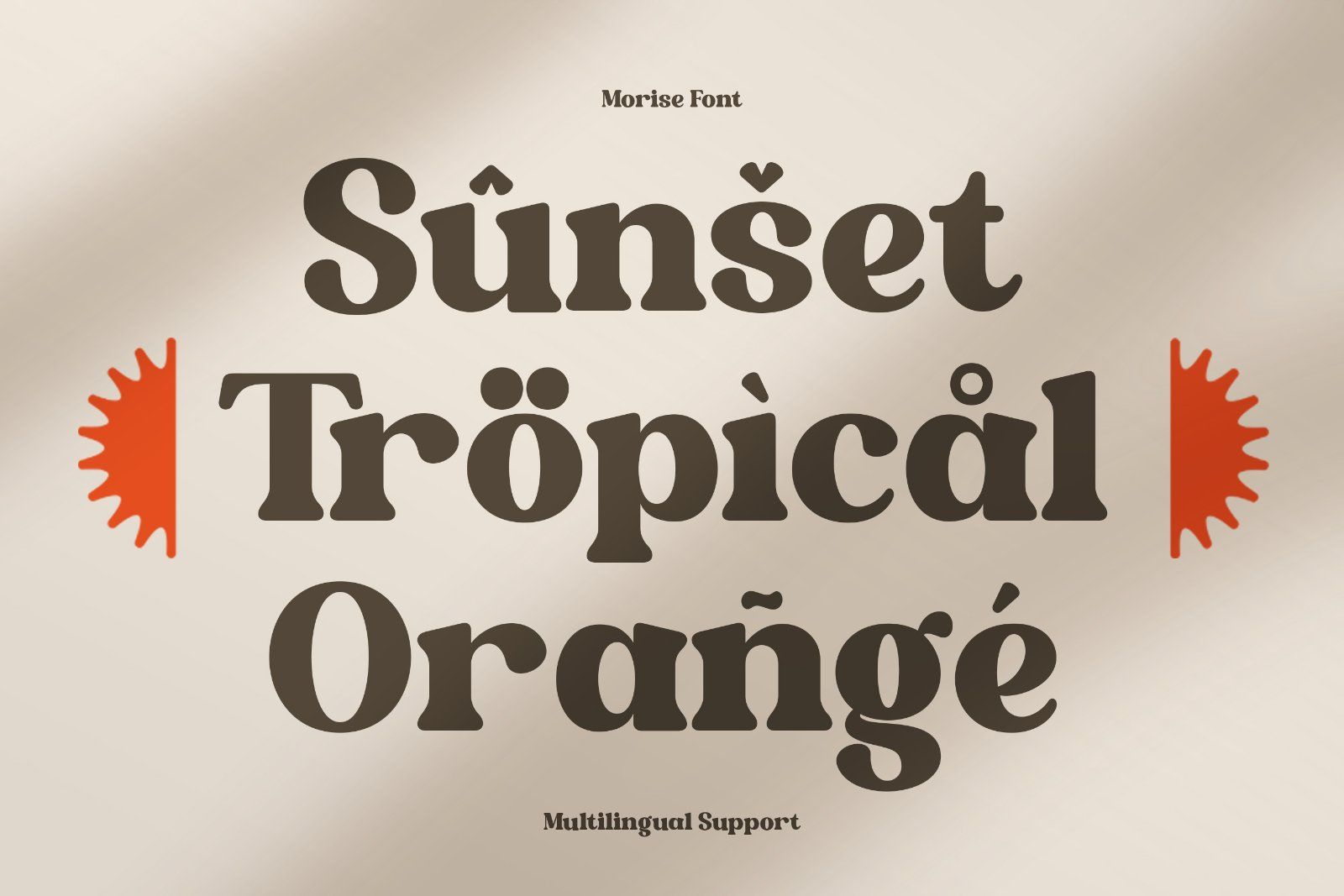 Morise - Retro Serif Font — image 10