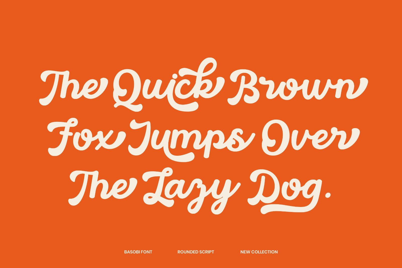 Basobi - Rounded Script Font — image 6